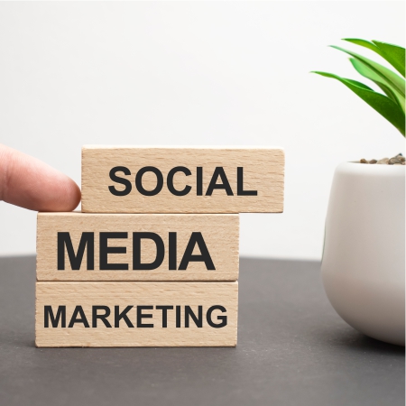 social media marketing service in india