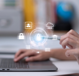 web portal development