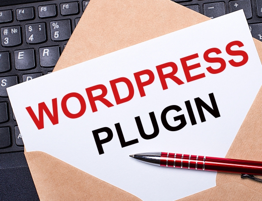 best wordpress plugins for developers